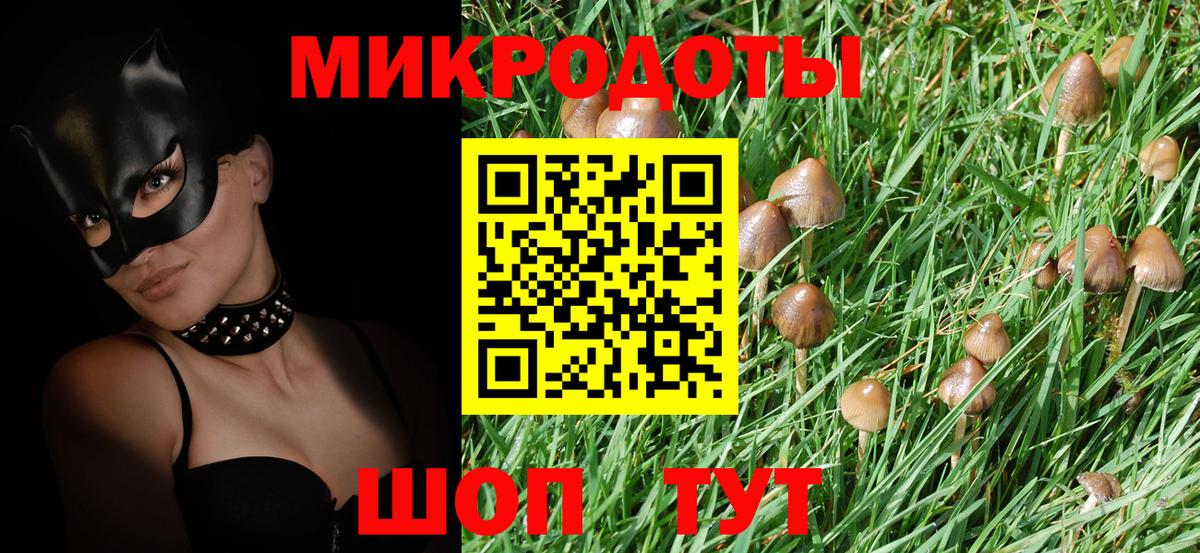 Псилоцибиновые грибы мухоморы Коломна