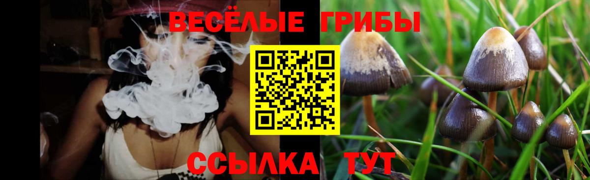 Галлюциногенные грибы прущие грибы  Вход с VPN  Коломна 